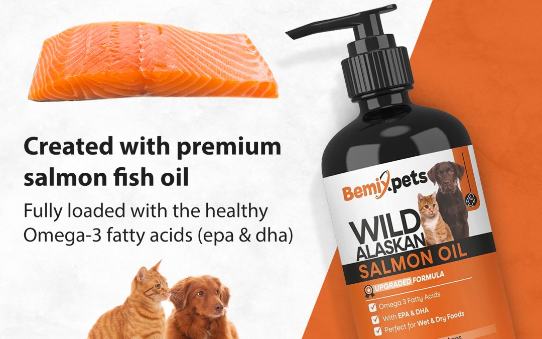 Omega-3 Magic: The Top Benefits of Salmon Oil for Your Furry Friend