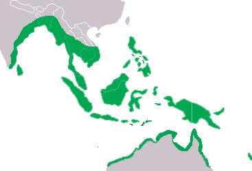 distribución y hábitat del cocodrilo de agua salada.